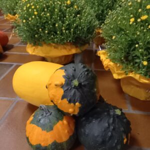 Jahreshauptversammlung