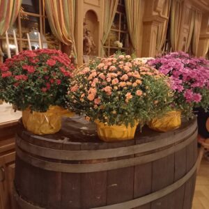 Jahreshauptversammlung am 15. September 2023