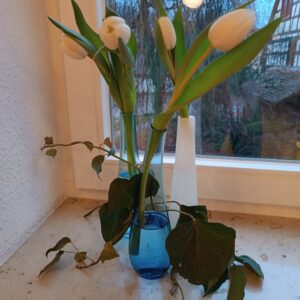 Landfrauen Frühstück und Lachyoga