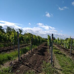 Jahresausflug am 15. Juni 2024