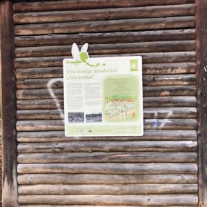 Winderwanderung mit Grillen