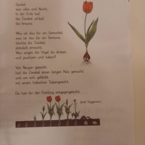 Landfrauen-Frühstück am 15. Februar 2025