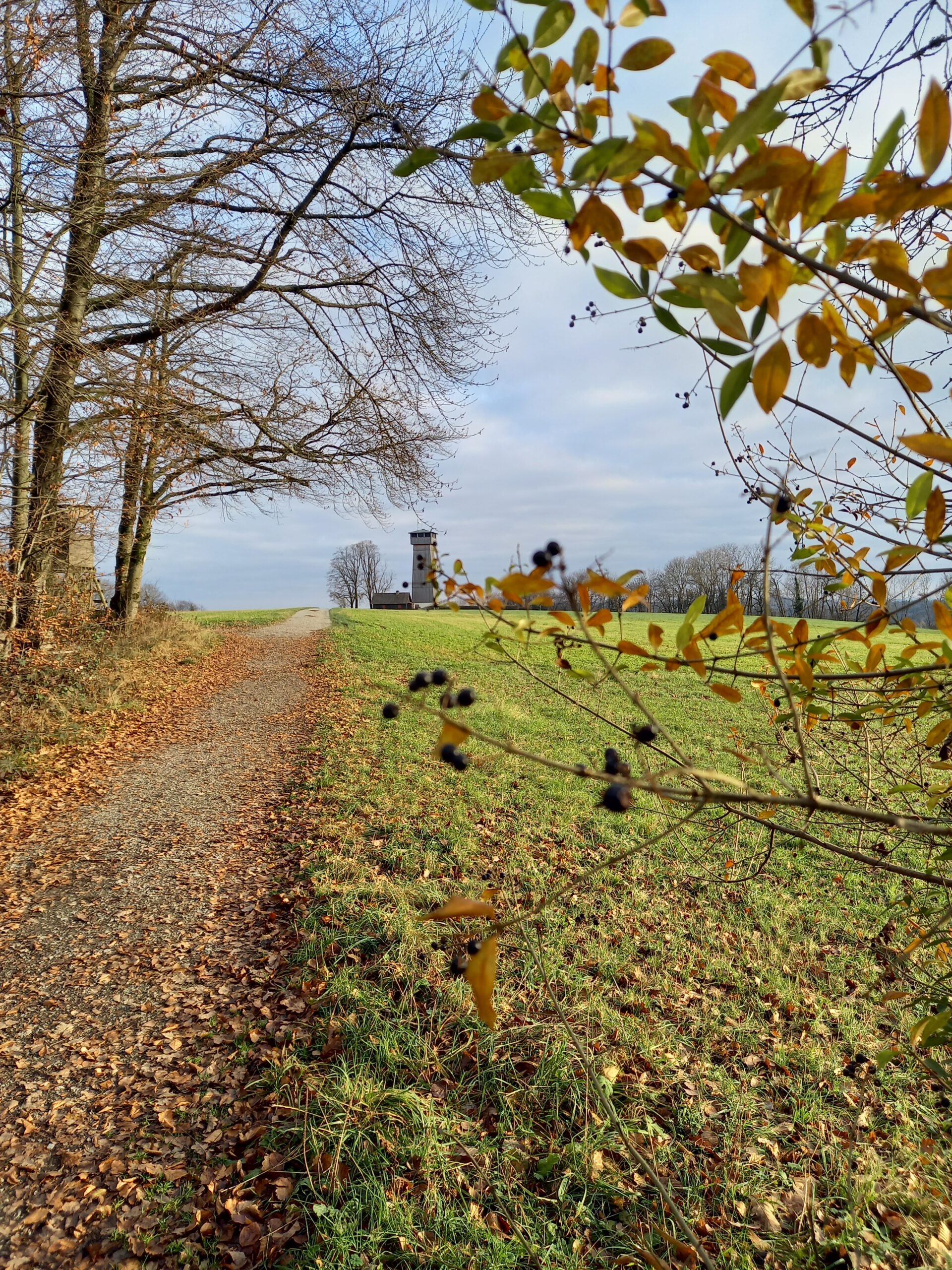 27. November 2025 Spaziergang am Juxkopf