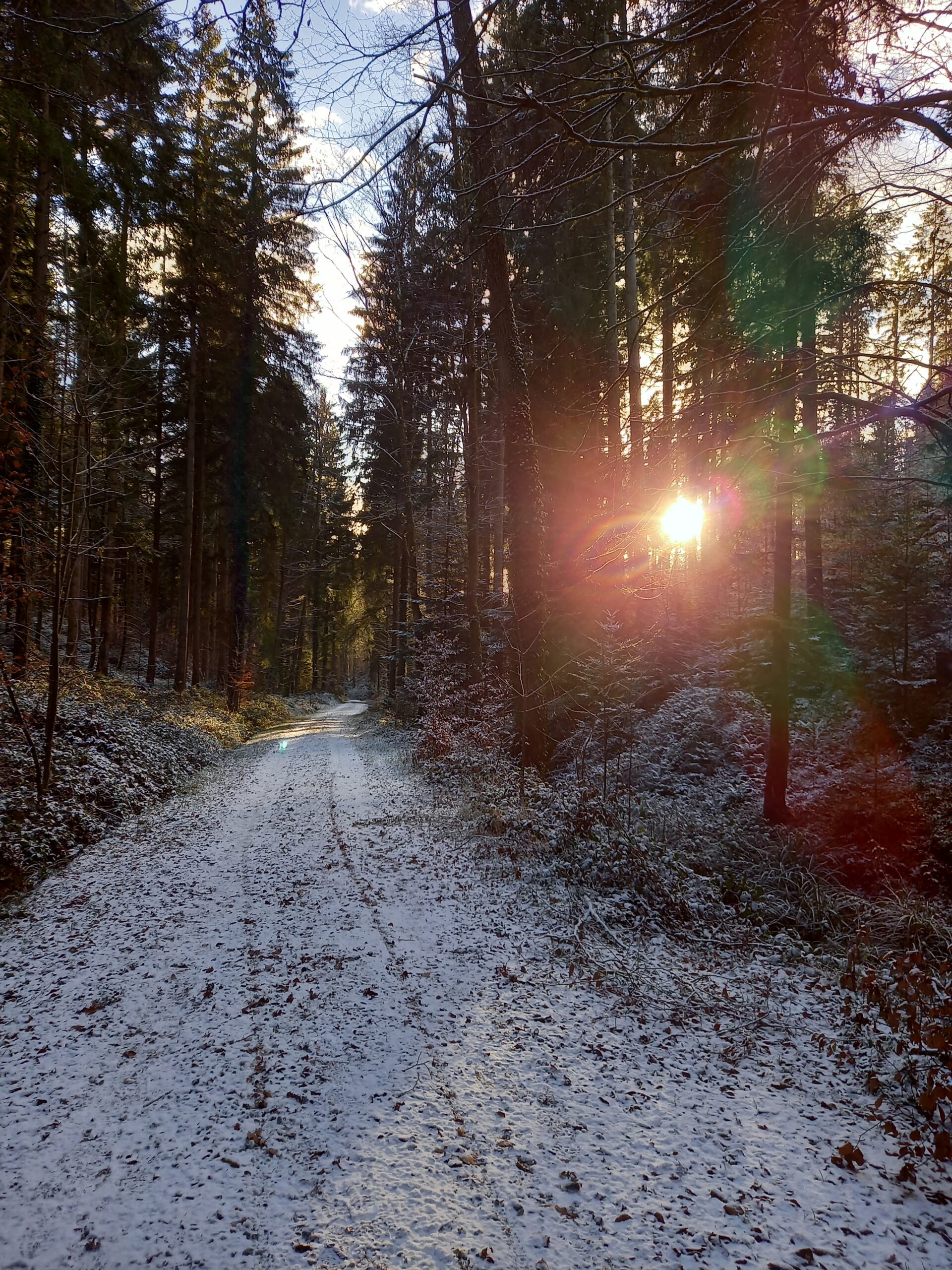 Letzter Spaziergang am 30. Dezember 2025